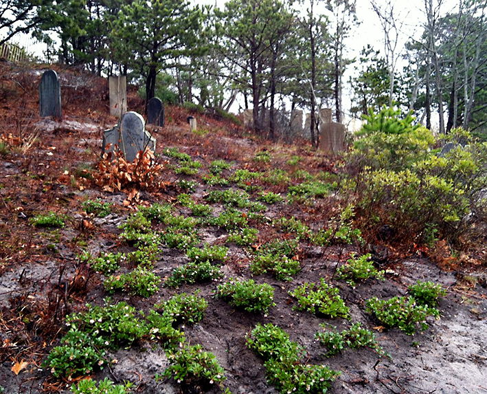 Winthrop Street Cemetery Improvements