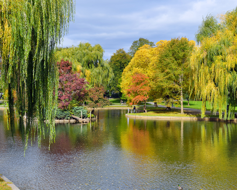 Boston Public Garden Lagoon